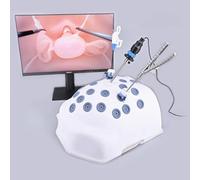 Caja de simulador de entrenamiento laparoscópico con cámara endoscópica e instrumentos para el desarrollo de habilidades quirúrgicas