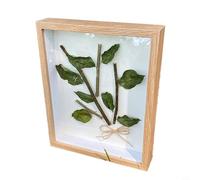 Caja de sombra 3D, marco profundo de madera con puerta de cristal y cierre para fotos, recuerdos de flores, color blanco, negro, madera de nogal, 26 x 22 x 6 cm