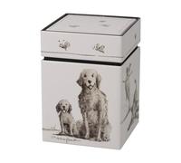 Caja de té - Mejores amigos Peter Schnellhardt