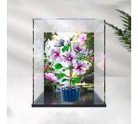 Caja expositora acrílica para ramo de hibisco le-go 10372 - Vitrina floral impresa con marco de aleación, funda transparente antipolvo 30 x 20 x 40 cm, exhibición de regalo (A)