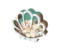 Caja expositora de conchas marinas con panel acrílico | Caja de almacenamiento decorativa para el mar | Vitrina de madera de concha marina | Colección de almacenamiento de estrella de mar de