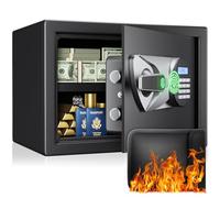 Caja fuerte, BlackSmith safe para el hogar pequeña 35x25x25 cm, biométrica, digital, con doble advertencia y bolsa ignífuga, caja fuerte de pared para muebles, oficinas y hoteles