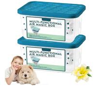 Caja mágica de eliminación de polvo de purificación de aire interior - Indoor Air Purification Dust Removal Magic Box - Fórmula vegetal, frescura de larga duración (2, A)