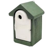 Caja Nido De Hormigón De Madera 32 Mm Verde