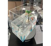 Caja organizadora de acrílico: vitrina multiusos for joyas, objetos de colección y maquillaje. Caja de accesorios fotográficos subacuáticos de varios niveles for sesiones de fotos de productos.(35x20x