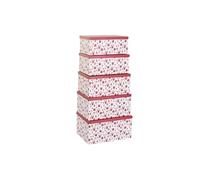 CAJA SET 5 CARTON 50X35X25 RENOS ROJO