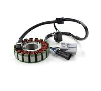 Caja unidad encendido Bobina Estator Generador Magnética Motocicleta Para Benelli TRK251 BN251 TNT25 TNT250 Para Leoncino 250 BN TRK TNT 25 251