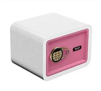 Cajas Fuertes a Prueba de Fuego, a Prueba de Agua, pequeña Caja de depósito con contraseña electrónica, Oficina Invisible para el hogar en la Pared, gabinete de Seguridad sólido Totalmente de Acero