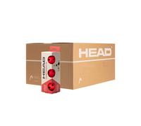 Cajon 12 Botes 3 Bolas De Pickleball 3b Head Championship 26 (12units/mbo) 557023