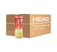 Cajón 24 Botes 3 Bolas De Tenis Head Championship