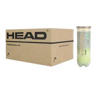 Cajón 24 Botes 3 Bolas Head Tour