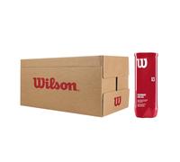 Cajon 24 Botes Wilson Padel X3 Ball