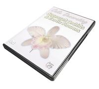 Cake Decorating - Sugarcraft Orchids And Exotic Flowers [Reino Unido] [DVD]