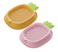 CAKEEYUM 2 Piezas de Hierba para Gatos para Gatos de Interior Semillas de Hierba para hidropónicas sin Suelo Caja de Cultivo de Semillas de gatera autoplantantes en Caja de Cultivo para Sem