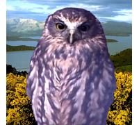 Cakekitchen - Stories for Late at Night