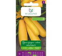 Calabaza común - calabacín Atena Polka F1 - naranja dorado