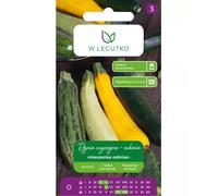 Calabaza común - calabacín mezcla de variedades