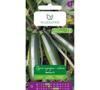 Calabaza común - calabacín Nefryt F1 - verde