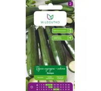 Calabaza común - calabacín Soraya - verde oscuro