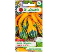 Calabaza decorativa Small Spoon