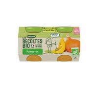 Calabaza ecológica Blédina en tarro pequeño 2x130g