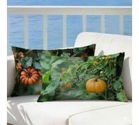 Calabaza Funda Cojin 60x80 Juego de 2 Planta, Cojines Exterior Impermeable Lino Decorativos Funda Almohada Patrón Impresión Doble Cara con Cremallera para Sofá Decoración Hogar Regalo Mujer, Cod614