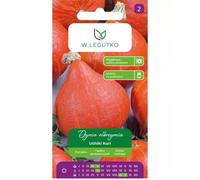 Calabaza gigante Uchiki Kuri, tipo Hokkaido, de color rojo anaranjado.