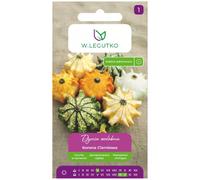 Calabaza ornamental Corona de espinas - mezcla