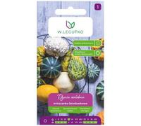 Calabaza ornamental mezcla verrugosa