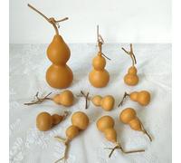 Calabazas pequeñas secas, calabaza sin terminar, decoración de escritorio, calabaza seca original para manualidades (tamaño mixto, 10 piezas)