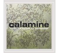 Calamine - What We Forgot to Remember