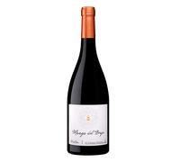 Calatayud Manga del Brujo 2022