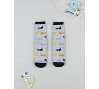 Calcetines antideslizantes niño gris/azul Dinosaurios