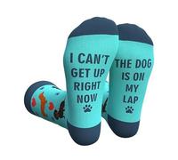 Calcetines con Letras, Los perros están en mis calcetines novedosos de algodón calcetines regalo, calcetines de perro interesantes, regalos de los amantes de los perros a las mujeres y los hombres