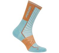 Calcetines de hombre Icebreaker Men Merino Run+ Ultralight Mini Talla de calcetines: M / Color: azul/naranja