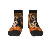 Calcetines de tripulación, calcetines de compresión, calcetines deportivos novedosos informales, 30 cm de largo, para unisex, Border Collie, Bokeh, otoño, negro, Border Collie