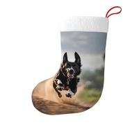 Calcetines decorativos de Navidad con texto en inglés "WHJSSF A Loyal Dog", suaves y esponjosos para mujeres y hombres