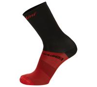 Calcetines SANTINI Paris-Roubaix 2023