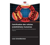 Calcification des cellules endothéliales humaines: Rôle de la signalisation BMP en cas de stress mécanique et d'hypoxie
