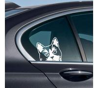 Calcoman a de vinilo transparente WIRESTER de 6 pulgadas para decorar la ventana del coche (o cualquier superficie plana) - Tuxedo Cat