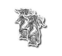 Calcomanía de murciélago - Lindo murciélago de frutas colgando boca abajo línea de dibujo minimalista calcomanía - Premium calidad vinilo parachoques pegatinas 2 unidades | 5 pulgadas en el lado más ancho | Fabricado en Estados Unidos - FHJ774