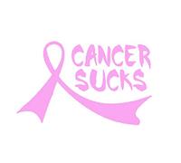 Calcomanía de Vinilo con diseño de Cancer Sucks para Coches, Camiones, Furgonetas, Paredes, portátil, Color Rosa, 19 x 11,4 cm CCI1319