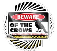 Calcomanía divertida para parachoques, con texto en inglés "Beware of Crows", 10 unidades, broma para parachoques, letrero de No Stupid People (6 x 9 cm)