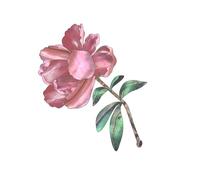 Calcomanía Para Cabezal De Guitarra Pegatina Para Cuello Pegatinas Para La Cabeza Calcomanías Para Cuerpo Del Bajo Accesorios De Decoración Pegatina Con Incrustaciones Extraíbles De