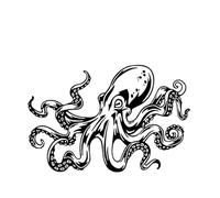 Calcomanías con patrón de Pulpo, calcomanías Decorativas for Ventana de Coche, calcomanías Impermeables de PVC, Negro/Blanco, 18cm * 12cm(Black)