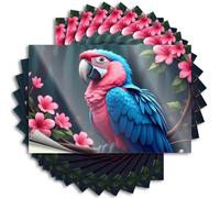 Calcomanías de coche para hombres, coloridas calcomanías de loro en un jardín floreciente, 10 calcomanías divertidas para decoración del hogar para automóviles (12 x 18 cm)