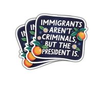 Calcomanías de declaración política, regalo para amigos, inmigrantes, activistas de justicia social, para laptop, cuaderno, caja de herramientas, casco duro, 3 unidades, 3 unidades