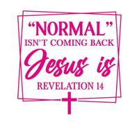 Calcomanías de grabado La normalidad no va a volver pero Jesús está en Apocalipsis 14. 67.2x67.4cm Pintura mural artística Rosa roja