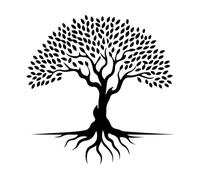 Calcomanías de grabado silueta del antiguo árbol de la vida 42x42.9cm Decoración de tiendas Negro