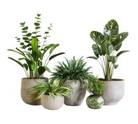 Calcomanías de Pared, 1 Juego de Calcomanías de Pared de Plantas Tropicales Verdes Naturales Papel Tapiz Autoadhesivo de 67 x 53 cm para Sala de Estar, sofá, TV, Fondo, de, Calc